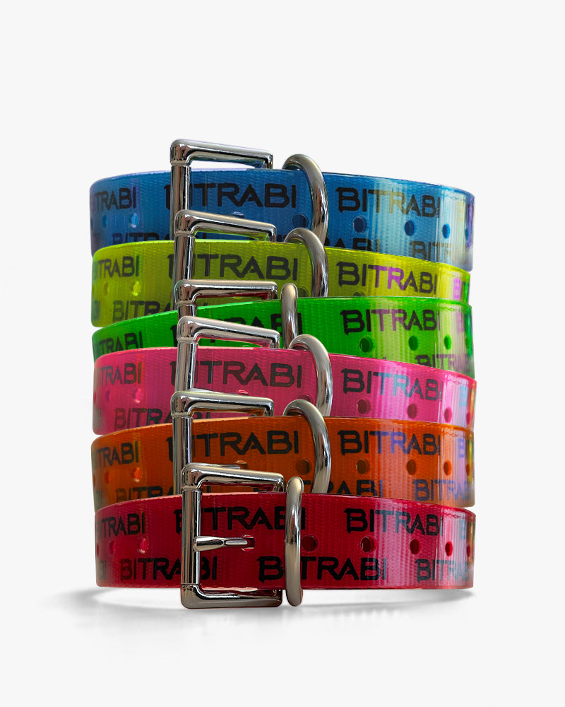 Cinturini