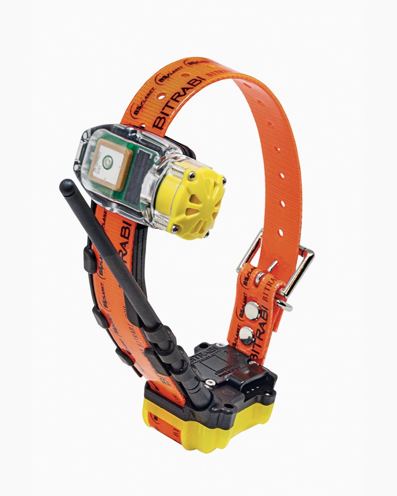 MITO 5100 BEEPER collare satellitare GPS per cani da caccia